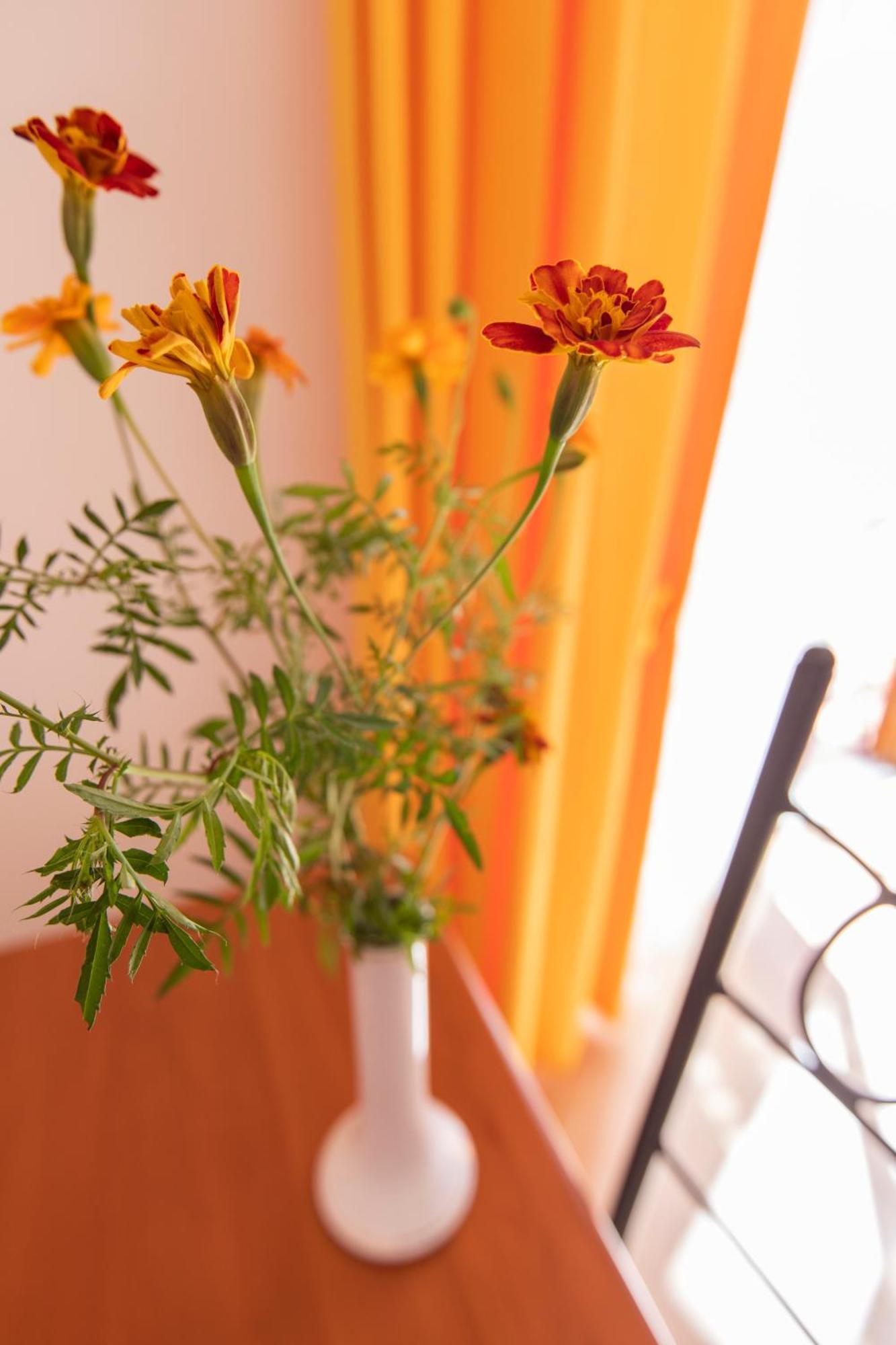 Sant'Anna Bed & Breakfast Agerola Exterior foto
